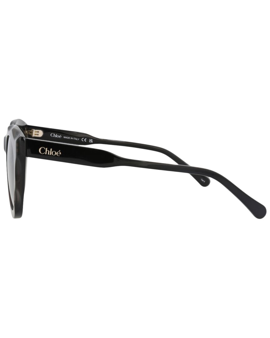 Chloe | Womens | 50mm Sunglasses | Transparent Dark Gray | Grey Gradient Lens