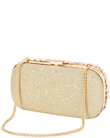 Tiffany & Fred Paris | Womens | Crystal Frame Evening Clutch | Gold