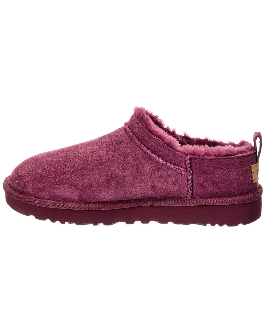 UGG | Womens | W Classic Micro Suede Mule | Purple