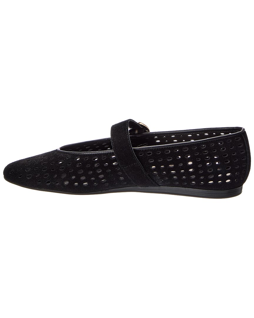 Dolce Vita | Womens | Baila Suede Flat | Onyx