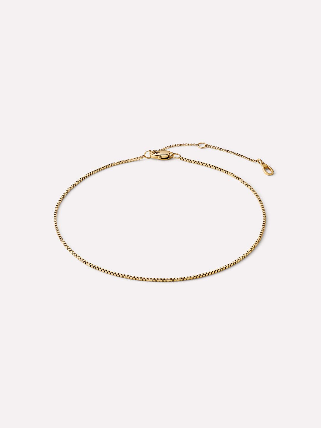 Alden Anklet | 14K Gold on Stainless Steel