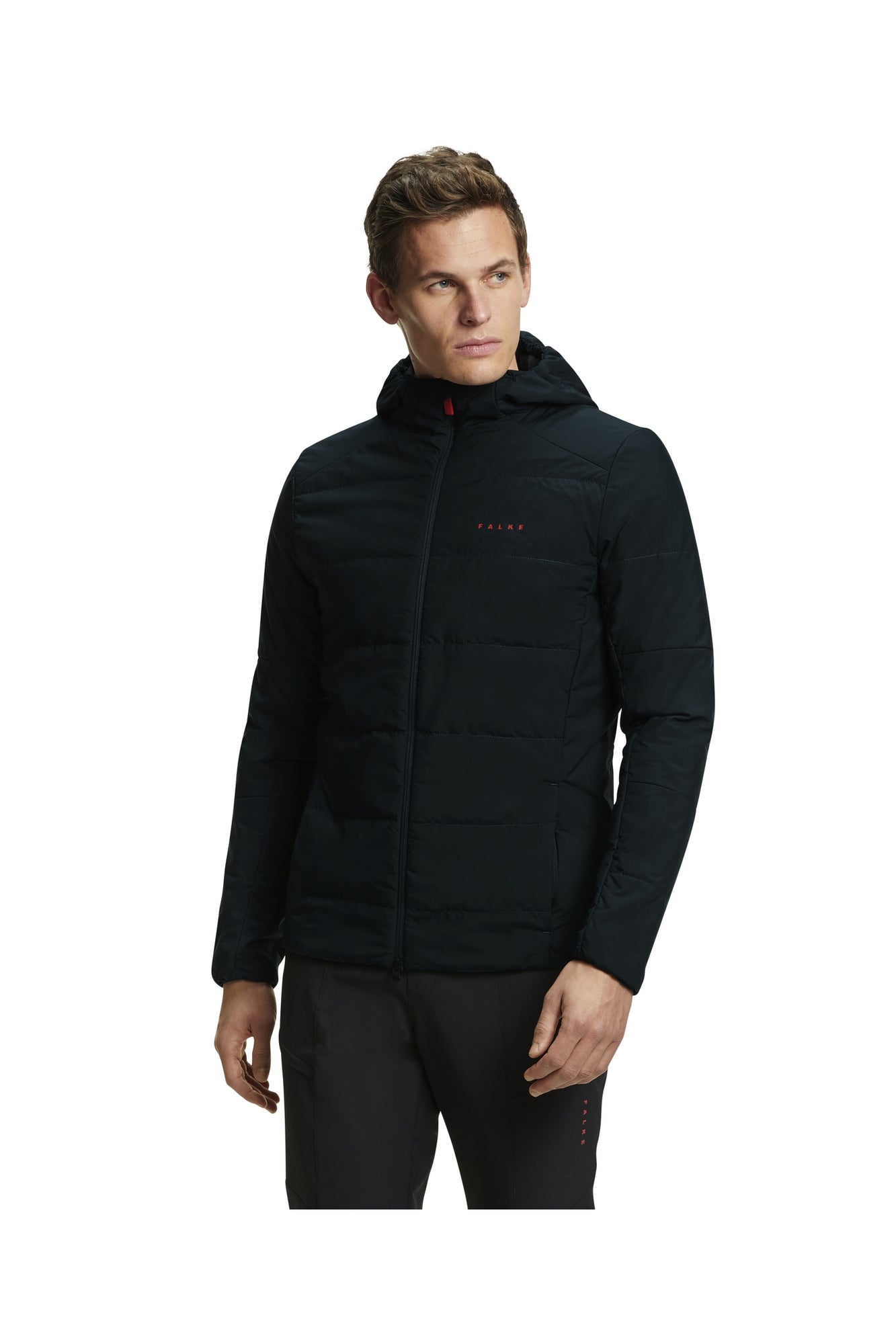 Men | TK Padded Jacket | Holly