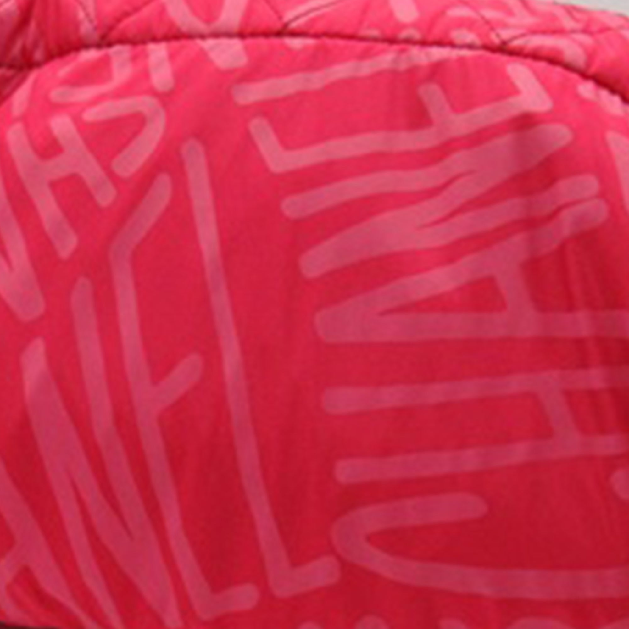 Chanel | Pre-Owned Printed Nylon Coco Neige Convertible Backpack | Pink