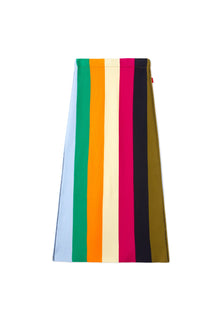 Knit Skirt | Women | Multicolor Stripes