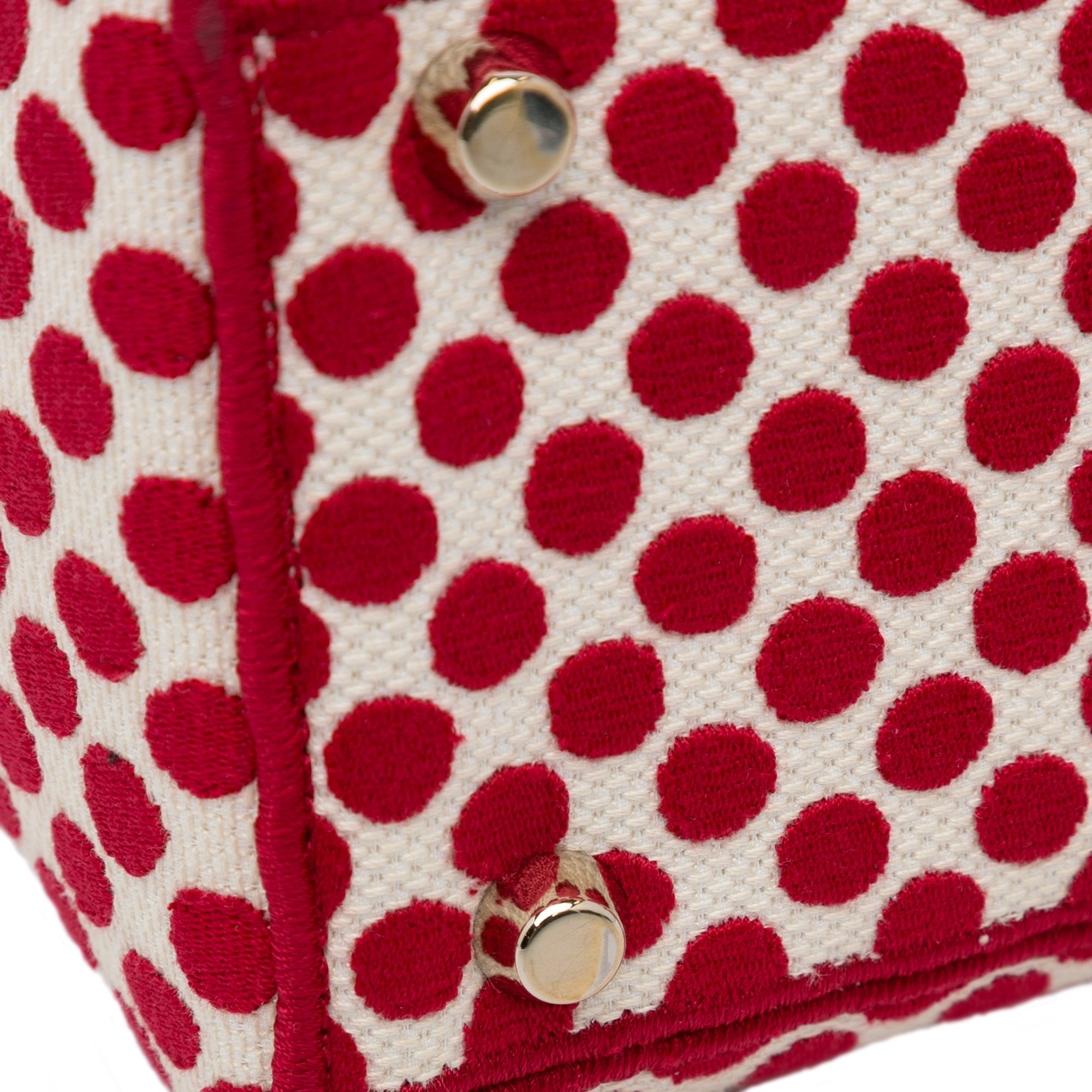 Dior | Pre-Owned Medium Embroidered Canvas DiorAmour Dots Lady D Lite | Red