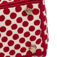 Dior | Pre-Owned Medium Embroidered Canvas DiorAmour Dots Lady D Lite | Red