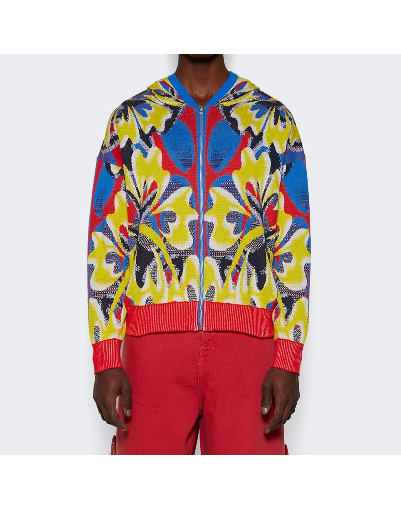 Bluemarble | Men | Zipped Hoodie | Multicolor