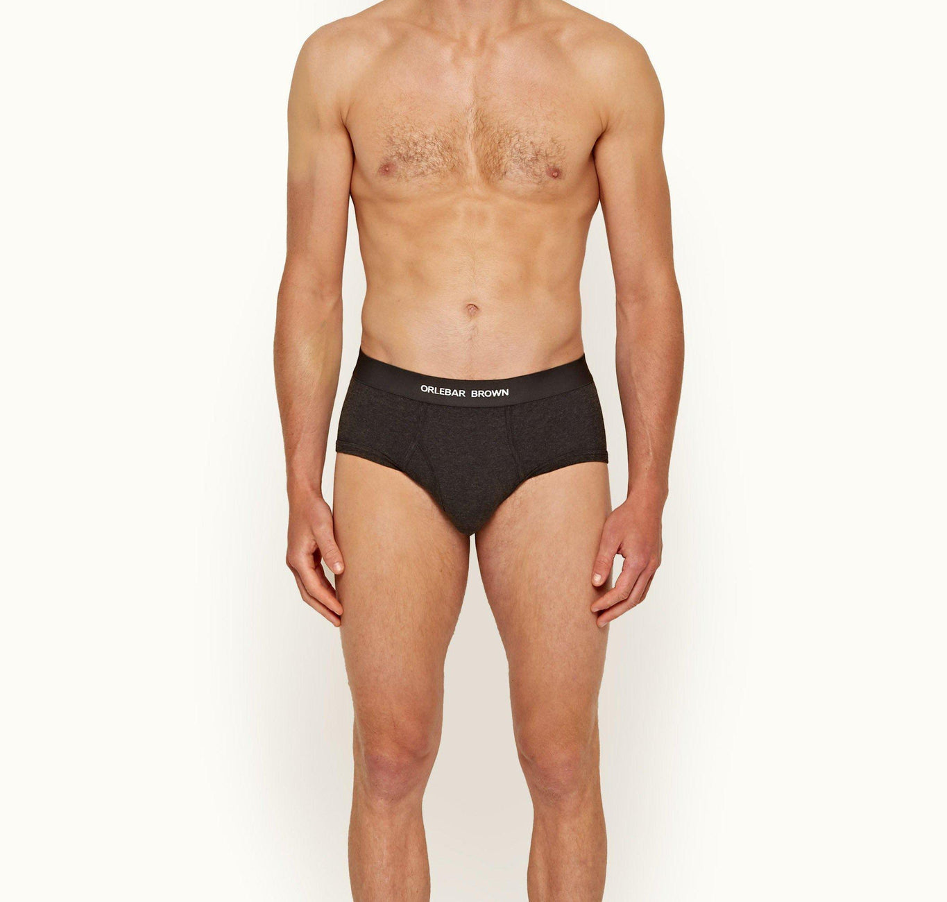 Brief 3 Pack Briefs | Charcoal Melange