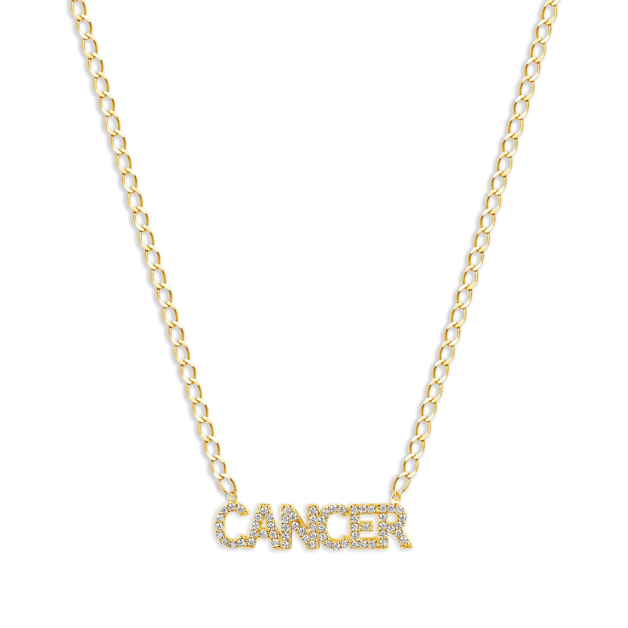 The Iced Out Zodiac Necklace | Gold Vermeil & Sterling Silver