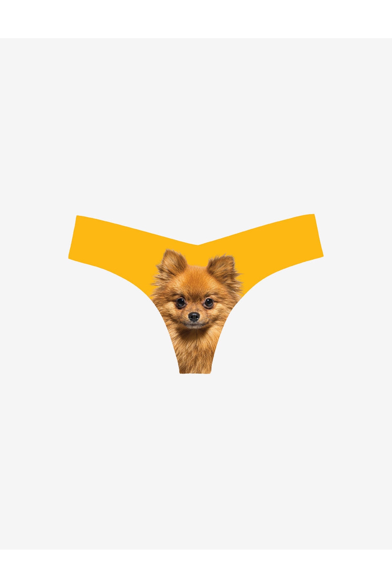 Classic Photo-Op Thong | Photo-Op Pomeranian