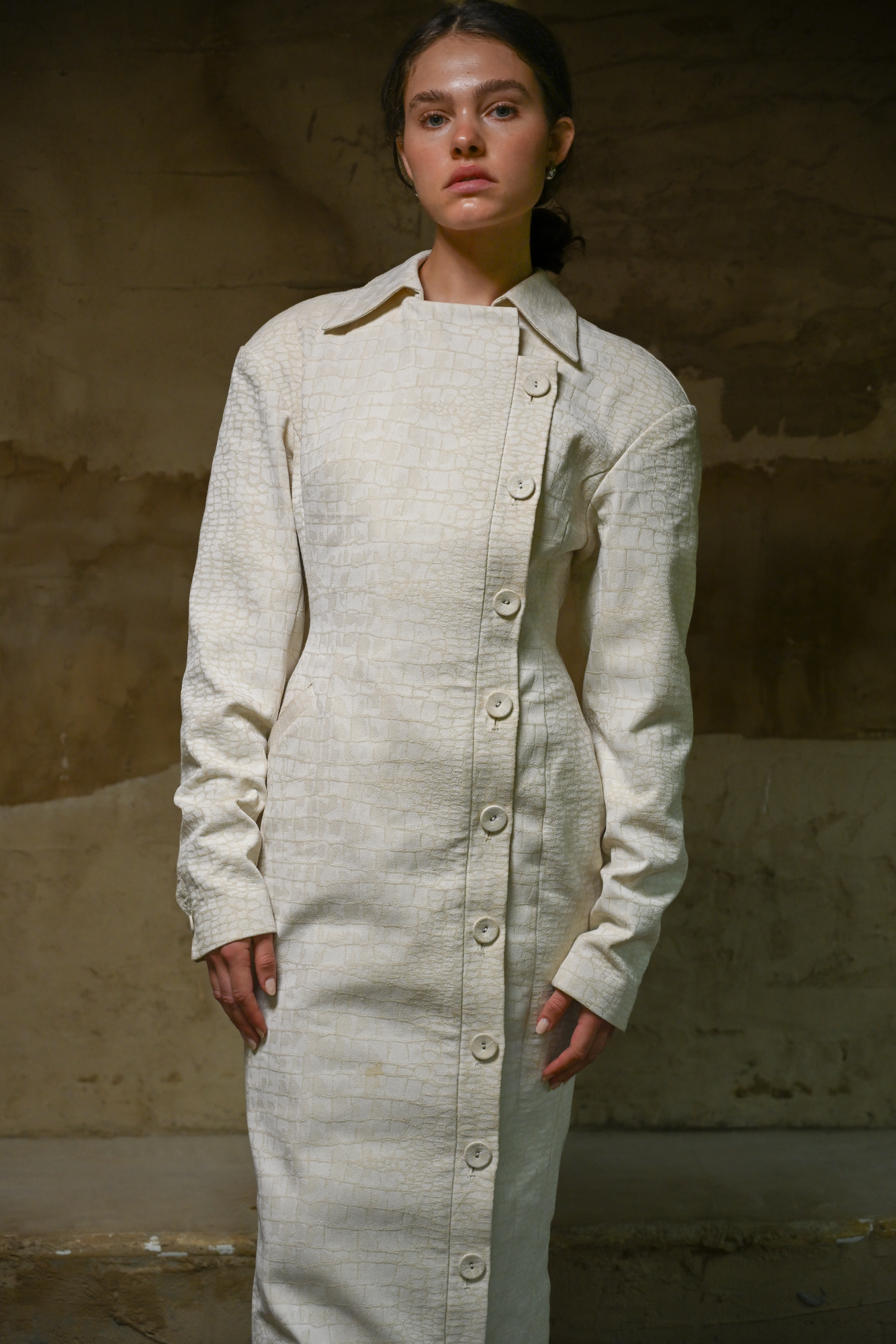 Blythe Trench Dress | Snakeskin