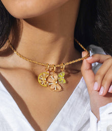 Slice of Summer Bundle | Multicolor