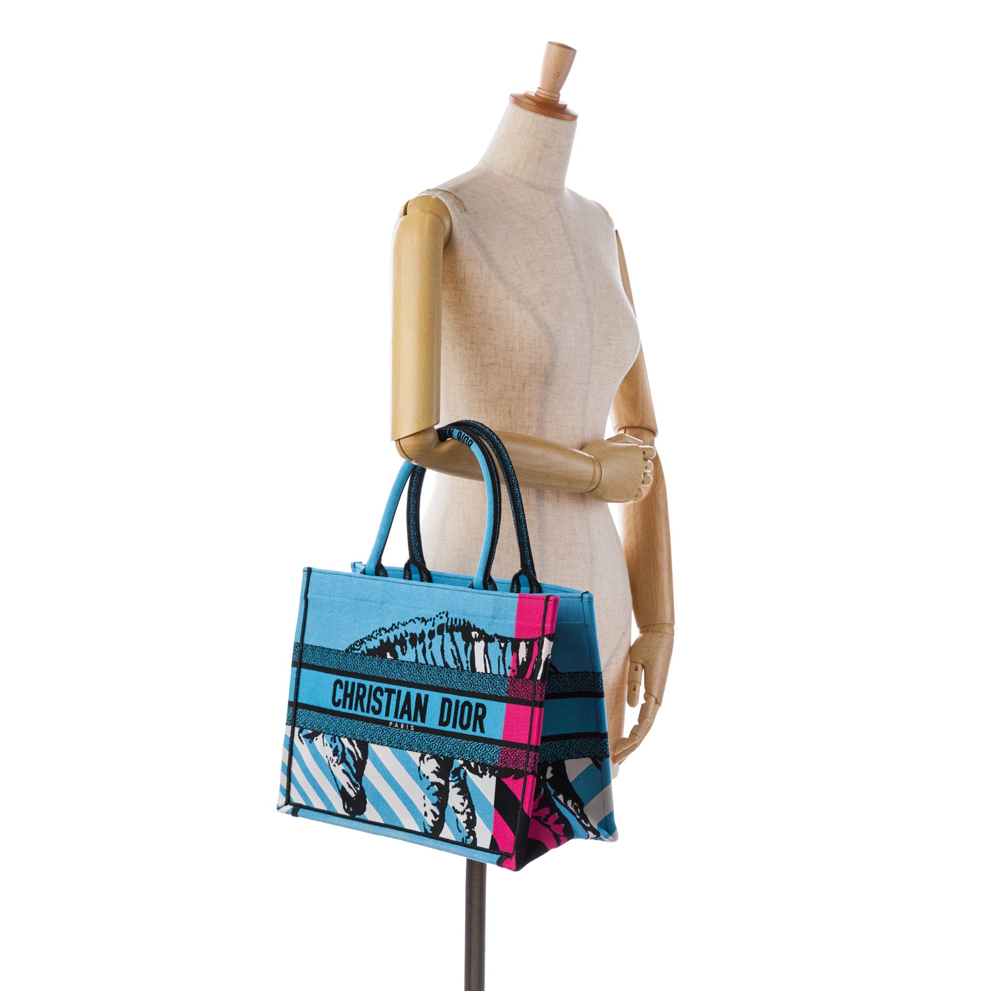 Dior | Pre-Owned Medium Embroidered Canvas Zebra D Jungle Pop Book Tote | Blue/Light Blue