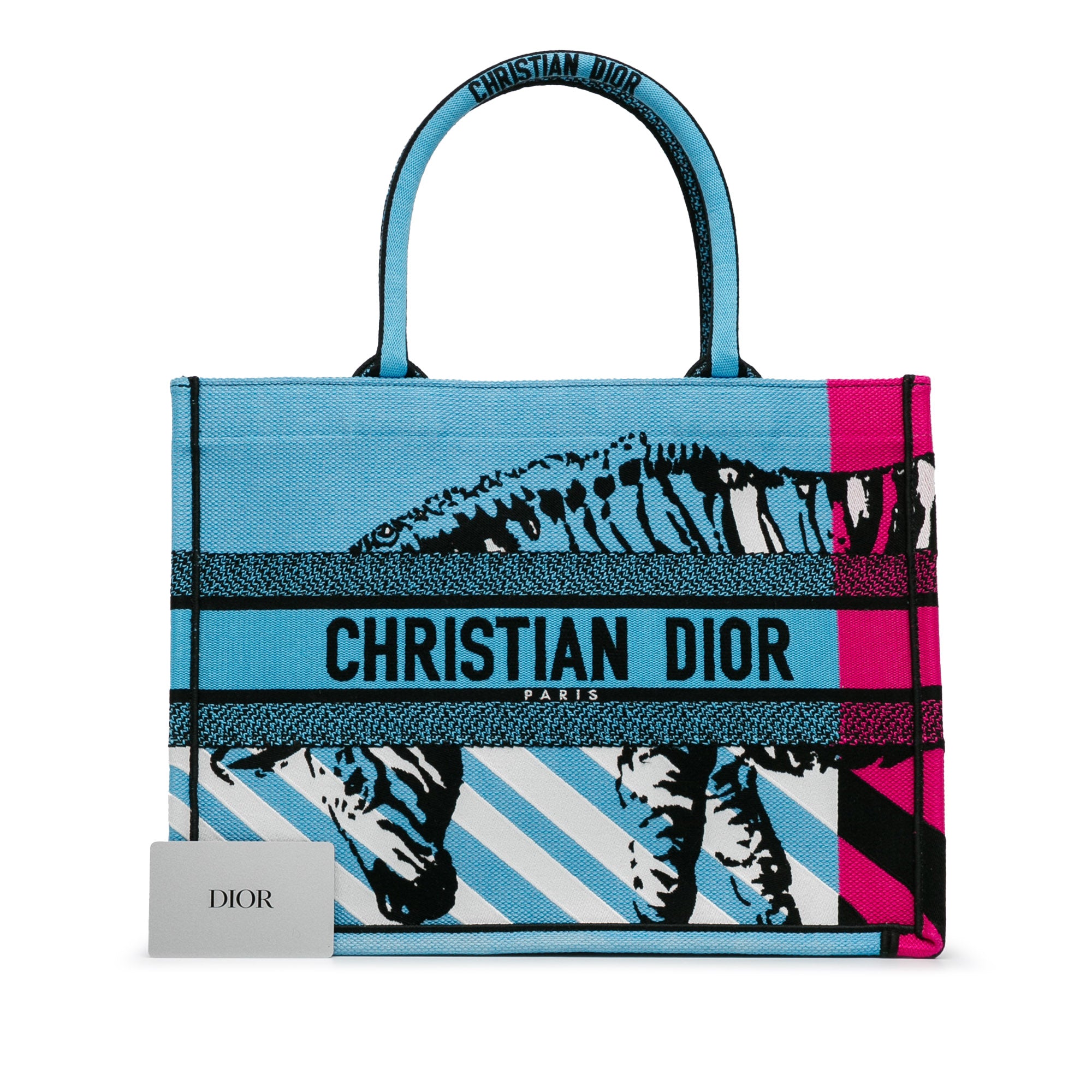 Dior | Pre-Owned Medium Embroidered Canvas Zebra D Jungle Pop Book Tote | Blue/Light Blue