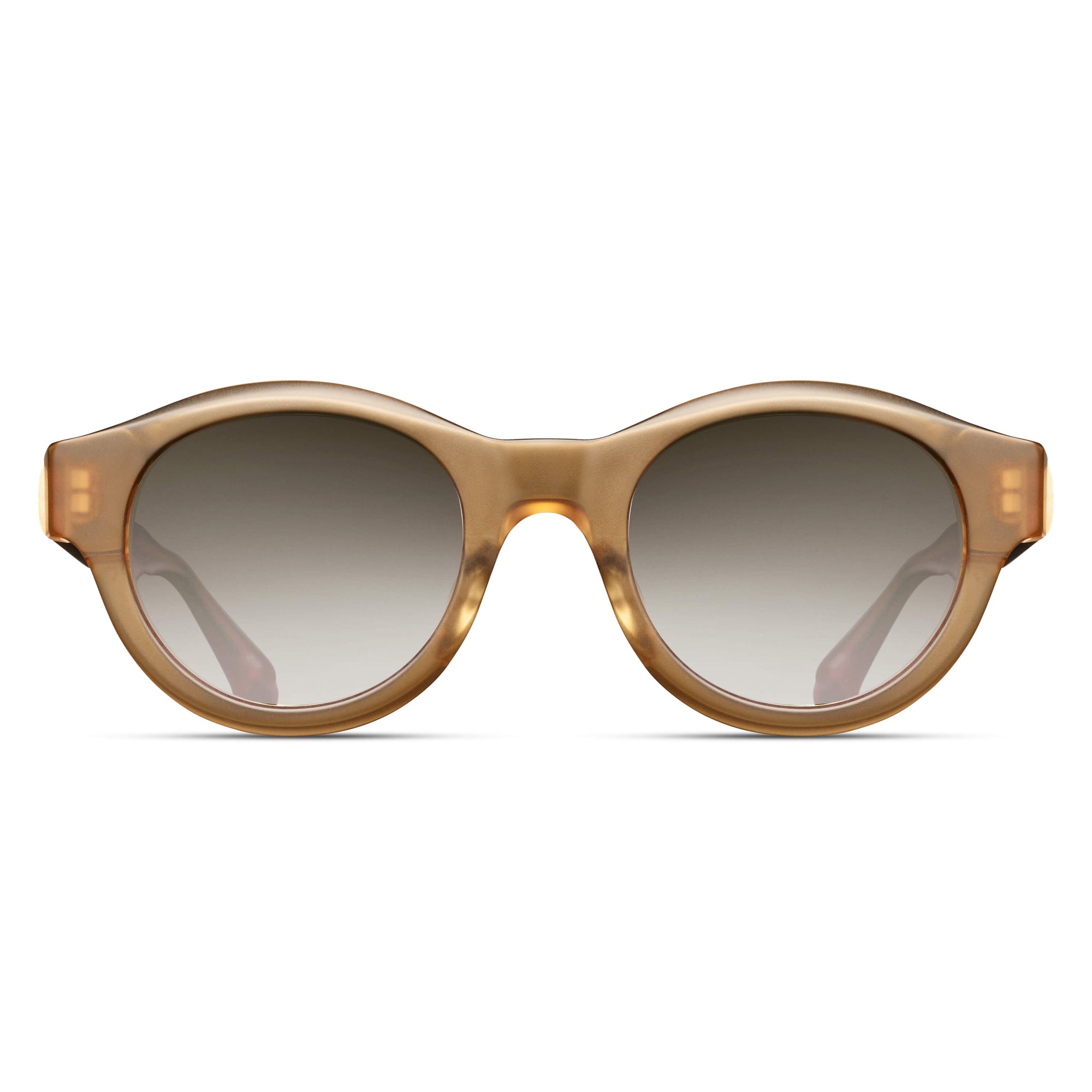 M1021 Panto Sunglass | Matte Caramel | Brown Gradient Lens | 48MM