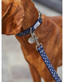 Pet Accessories | Dog Collar | Navy
