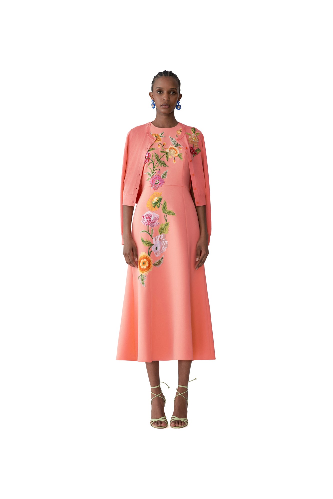 Embroidered Sleeveless Crewneck Flare Dress | Sunset Multi