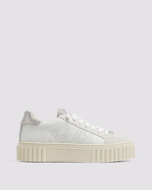 Women | Creeper Sneaker | Silver Dust