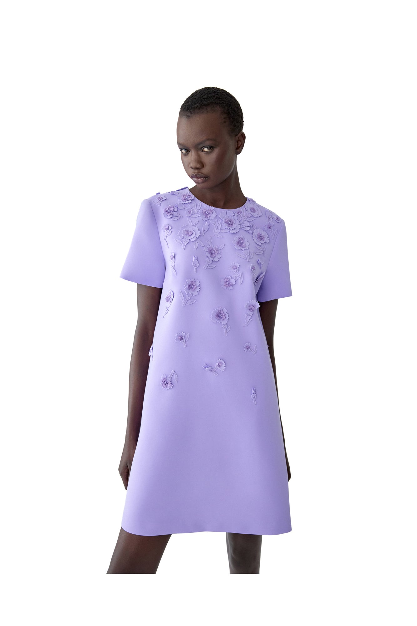Embroidered Short Sleeve Crewneck Shift Dress | Violeta