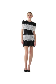Short Sleeve Crewneck Mini Dress | Black/White