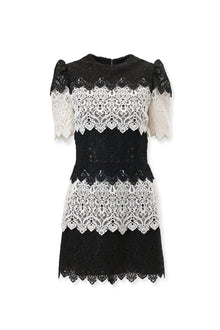Short Sleeve Crewneck Mini Dress | Black/White