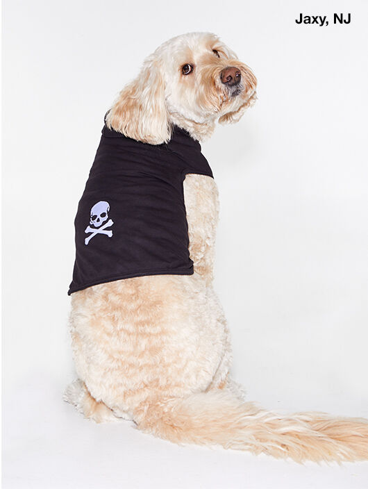Soul by SoulCycle | Hooded Dog Tee Black | Black