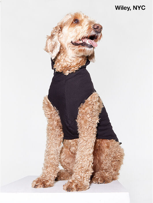 Soul by SoulCycle | Hooded Dog Tee Black | Black