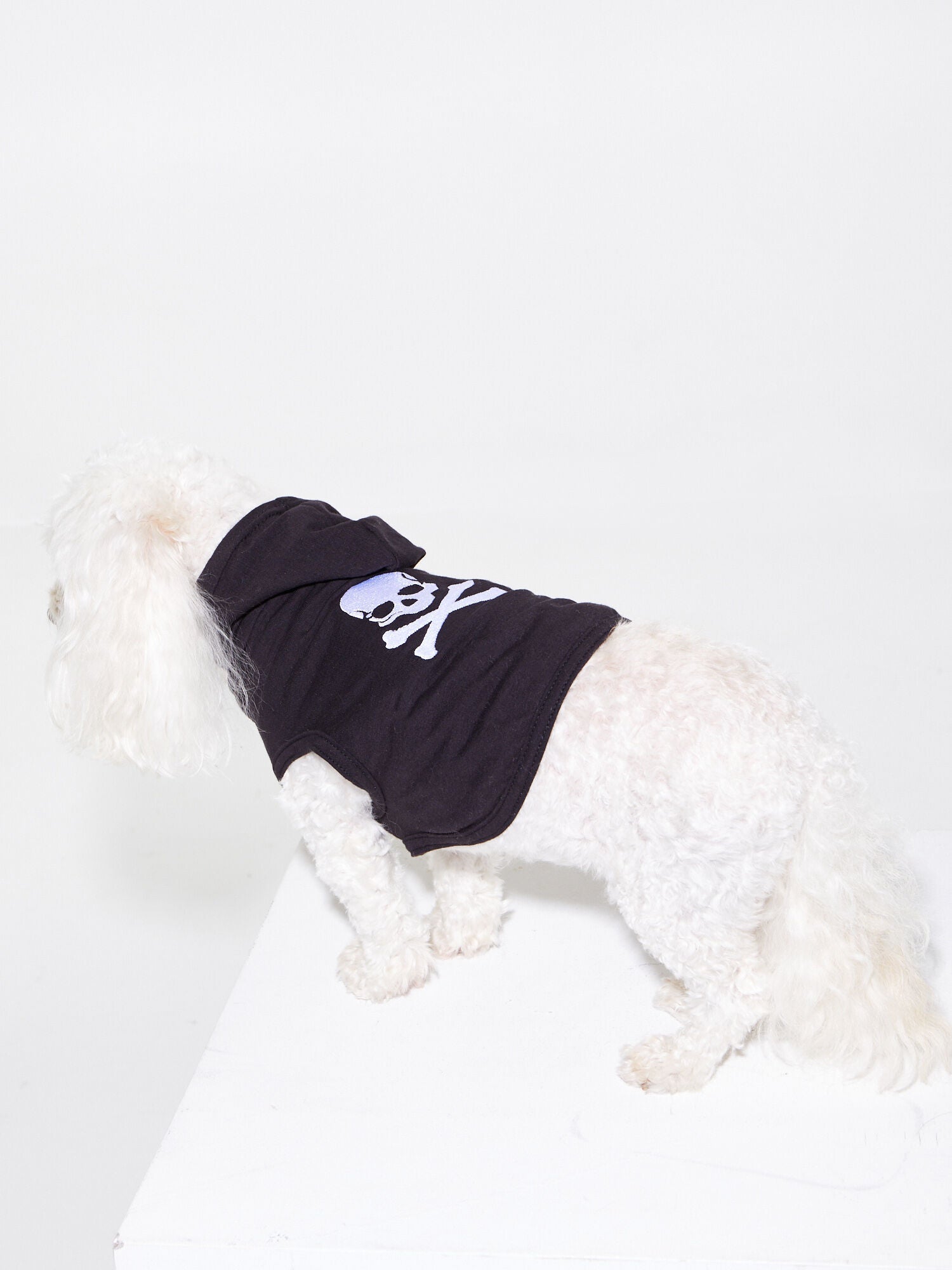 Soul by SoulCycle | Hooded Dog Tee Black | Black