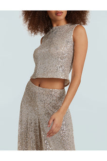 Sequin Mesh Muscle Crop Top | Silver