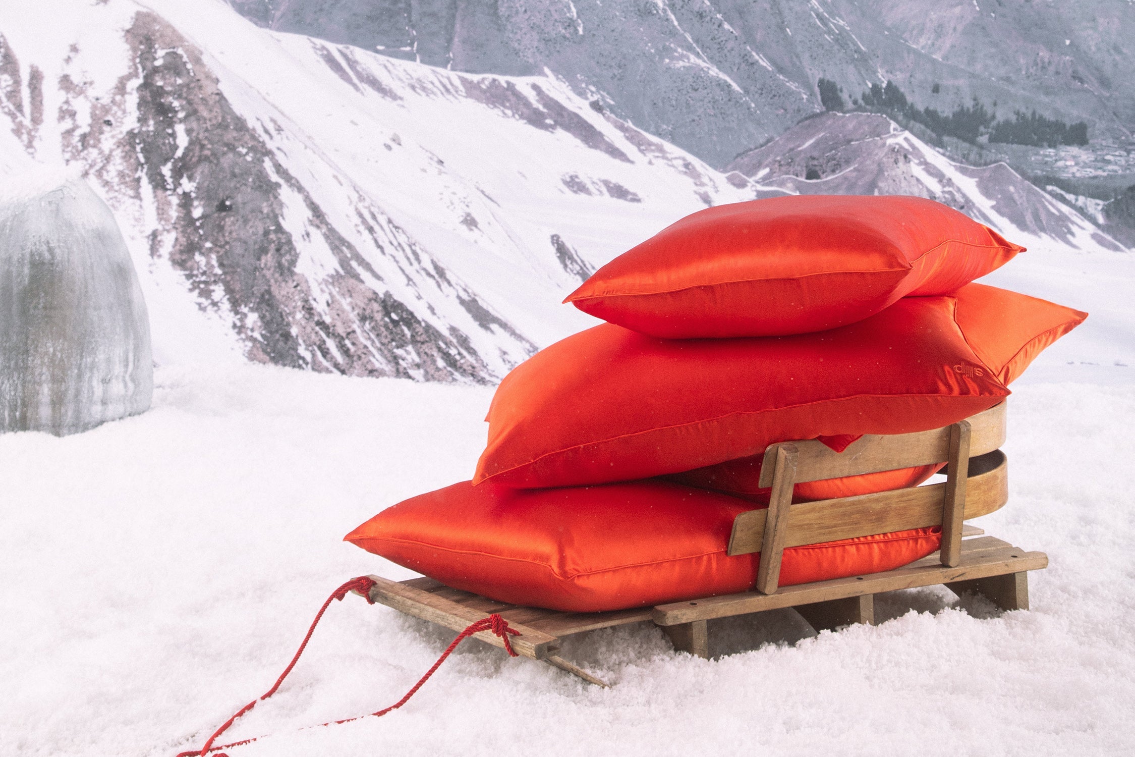 Queen Zippered Pillowcase | Poppy