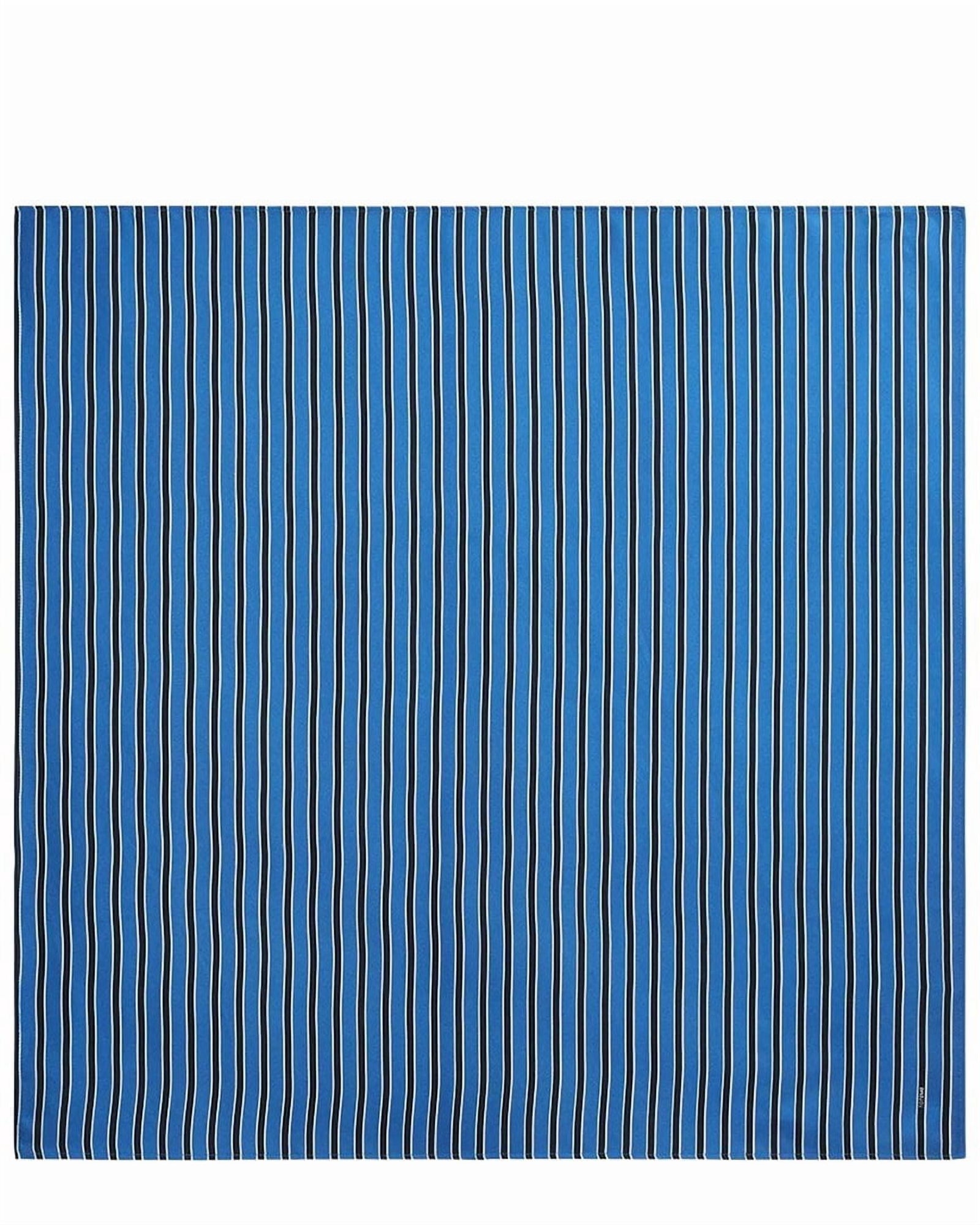 TOTEME | Womens | Silk Foulard | Blue