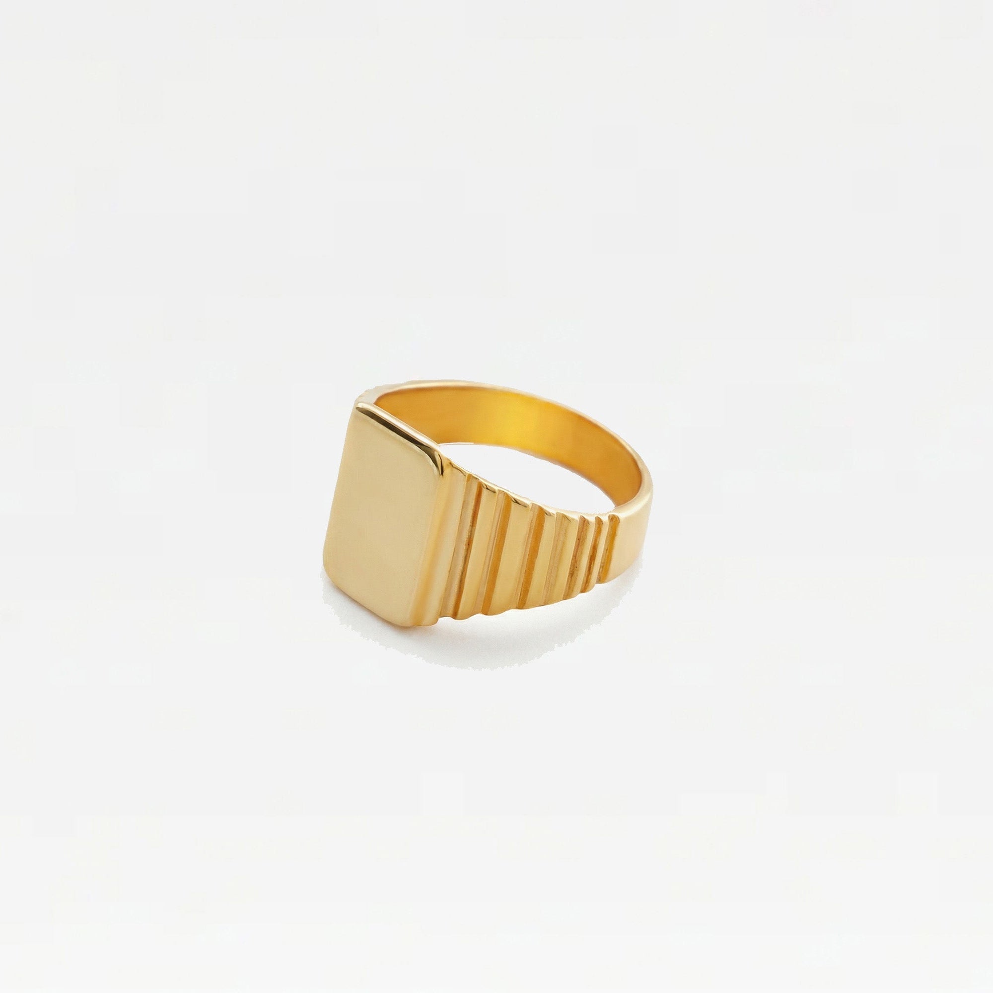 The Rouge Signet Ring | 18Kt Gold Vermeil