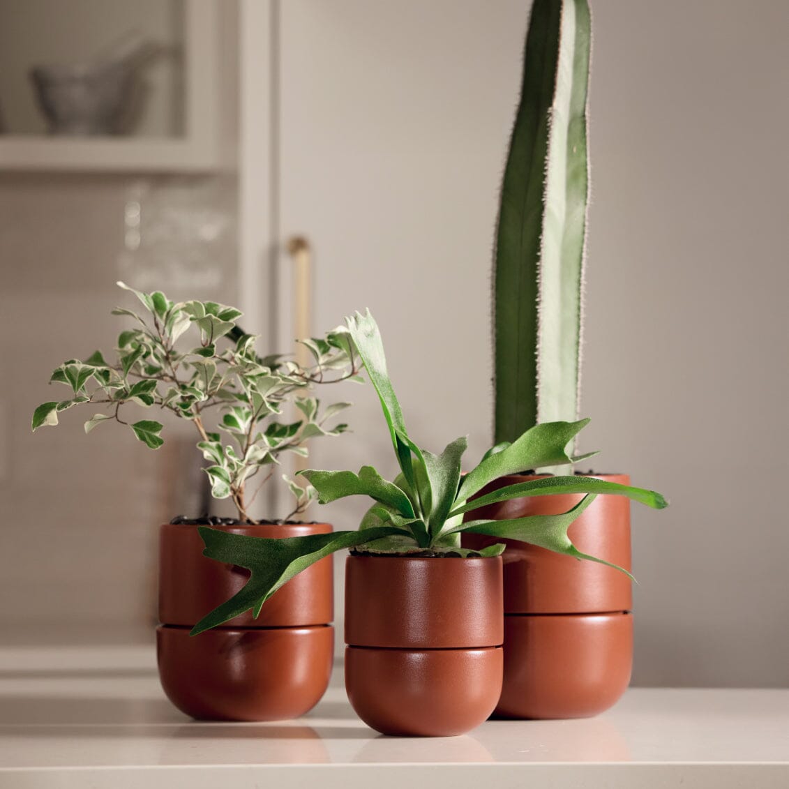 Planter | Small | Burnt Sienna