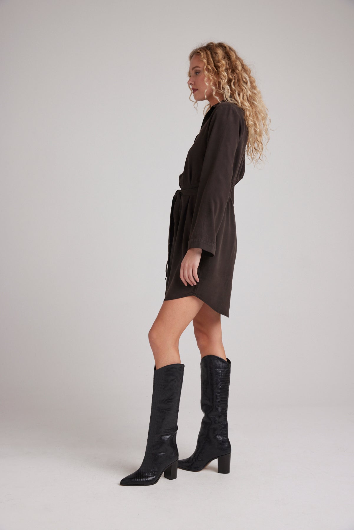 Mini Shirt Dress W/ Smocked Back - Quartz Brown