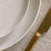 Dinner Plates | Speckled White