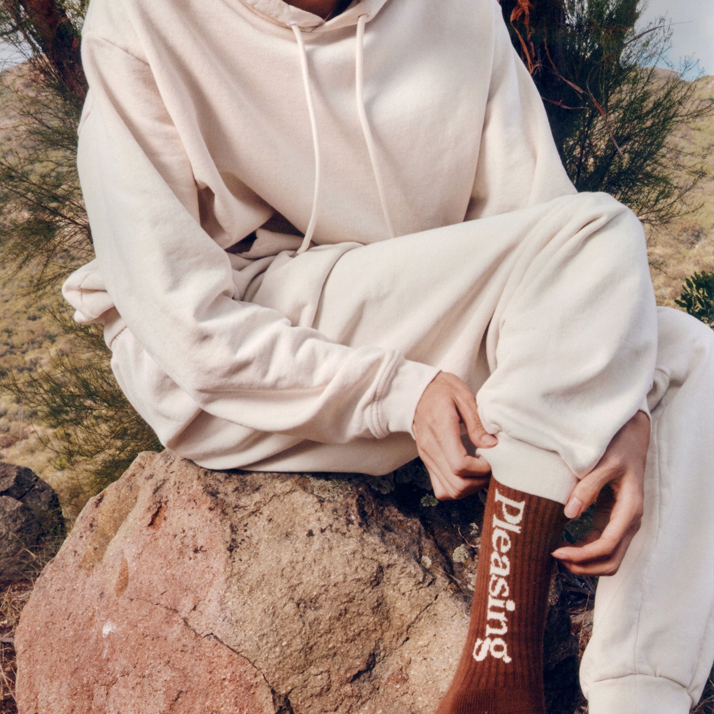 The Heavyweight Drawstring Hoodie | Brown